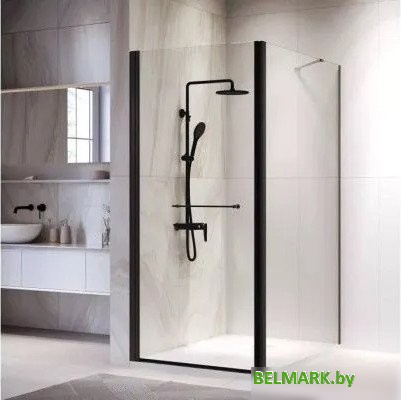 Душевой уголок RGW PA-138B 020813888-14 - фото