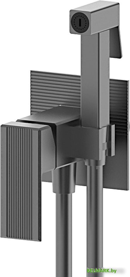 Гигиенический душ Vieir 443553G - фото