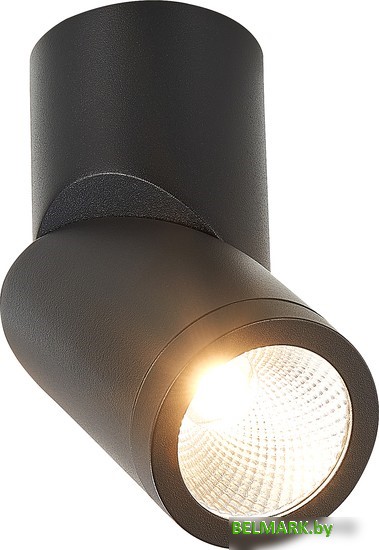 Спот ST Luce ST650 ST650.442.10 - фото