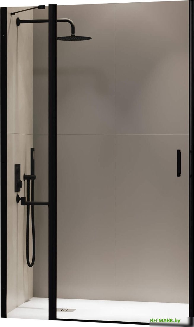 Душевая дверь RGW LE-004B 351200411-14 - фото
