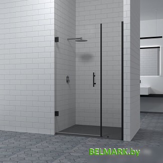 Душевая дверь RGW HO-012B 100 - фото