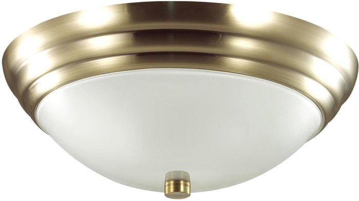 Припотолочная люстра Lumion Kayla 5262/2C - фото