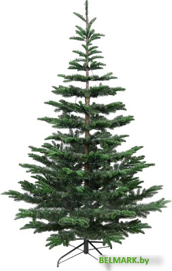 Ель GrandSiti Аликанте 1.8 м 110-179 - фото