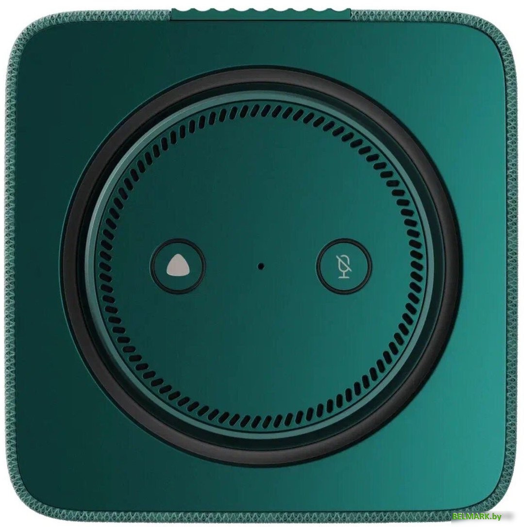 Умная колонка Яндекс Станция Макс (с хабом умного дома Zigbee, зеленый) - фото2