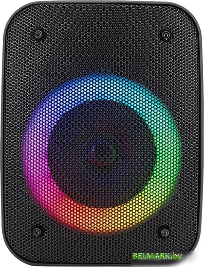 Беспроводная колонка Hyundai H-PS1005 - фото