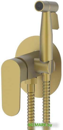 Гигиенический душ Vieir V283551-S - фото