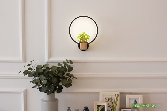 Бра Home Light Астерия C056-2-B - фото2