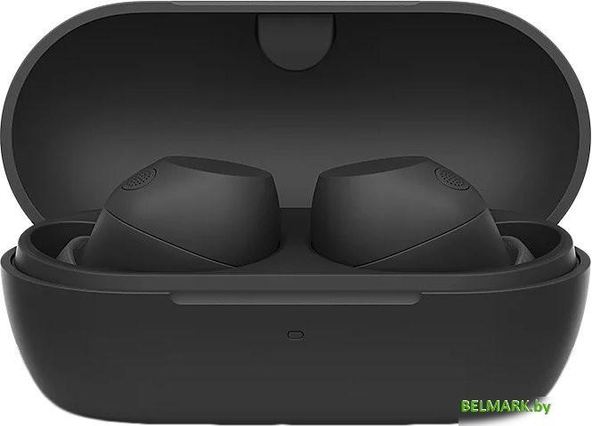 Наушники Sony WF-C710N (черный) - фото