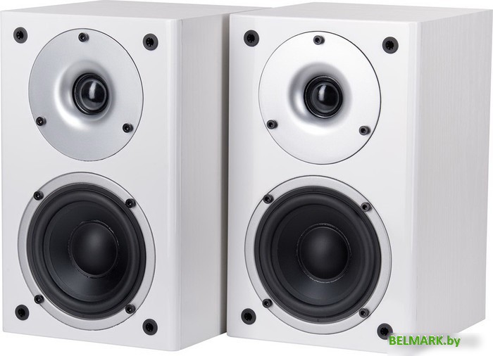 Полочная акустика WILSON Raptor Mini (белый) - фото