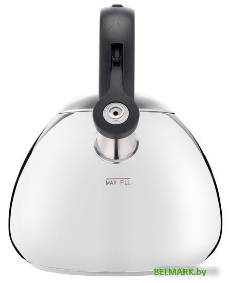 Чайник со свистком Tefal Duetto+ N4180110 - фото2