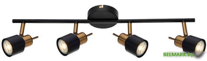 Спот Arte Lamp Almach A1906PL-4BK - фото