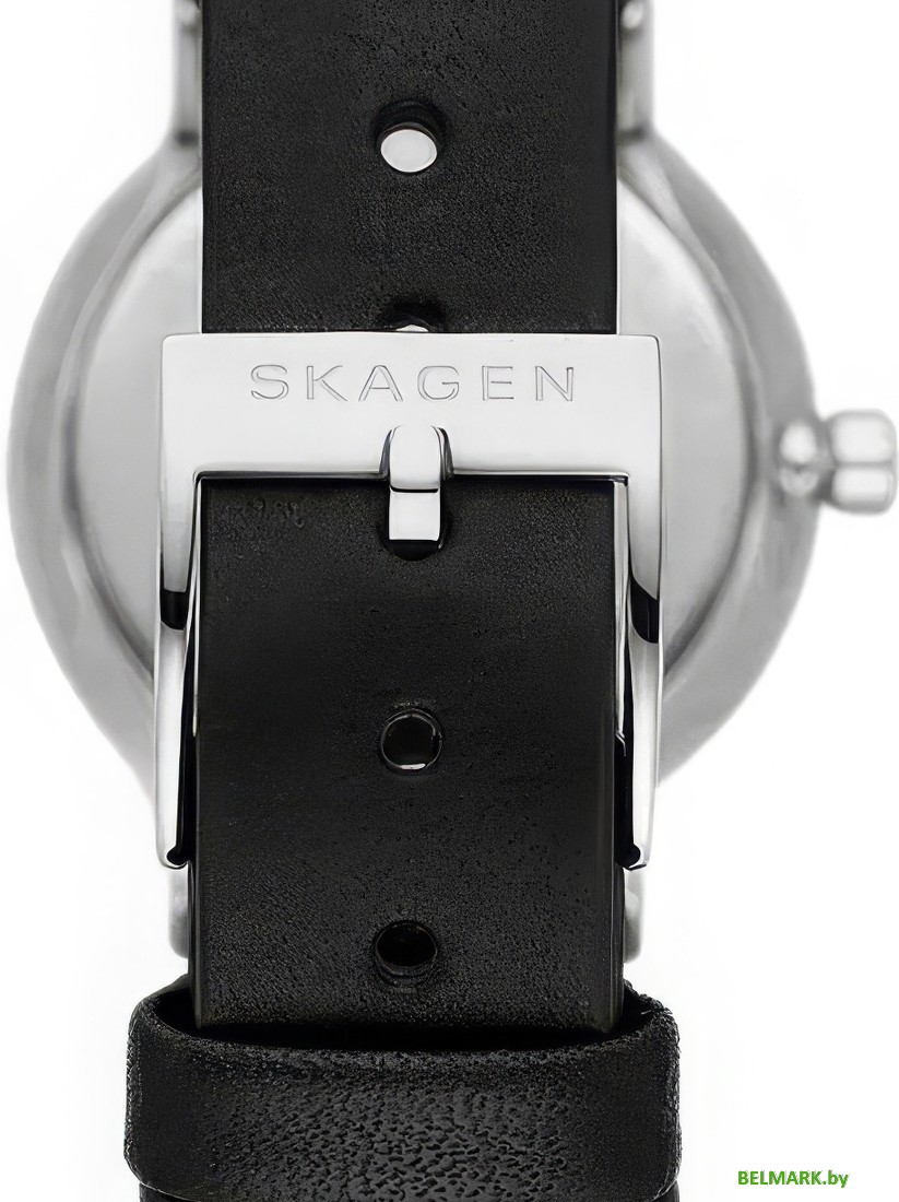 Наручные часы Skagen SKW3119 - фото2