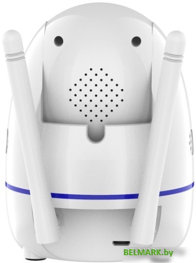 IP-камера Ritmix IPC-210 - фото2