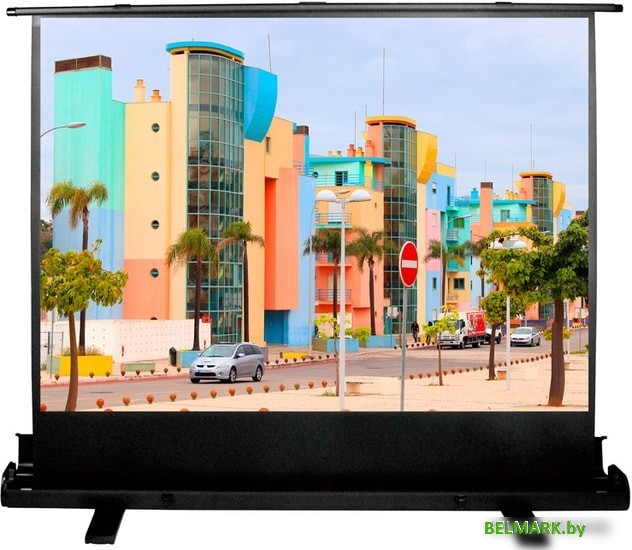 Проекционный экран CACTUS FloorExpert 120x160 CS-PSFLE-160х120 - фото