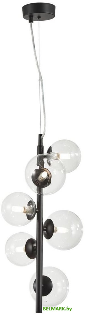 Подвесная люстра Aployt APL.334.06.06 - фото