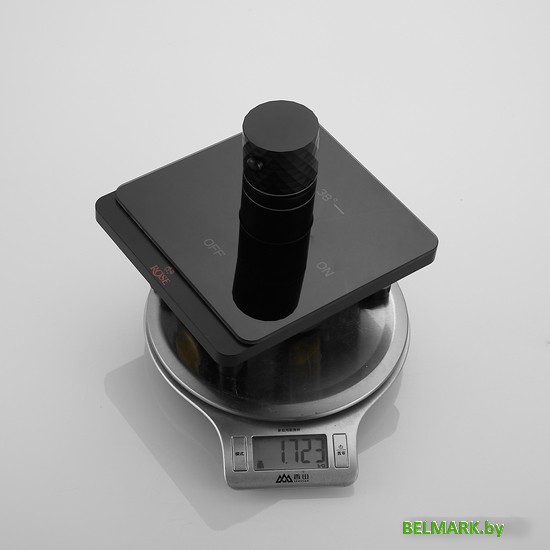 Гигиенический душ Rose R105H - фото2