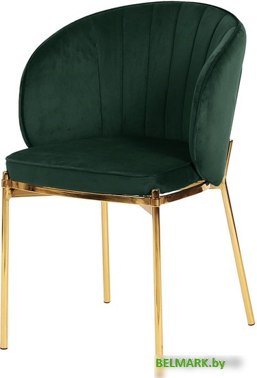 Стул Bergenson Bjorn Coral BEAR-CO10888 (темно-зеленый) - фото
