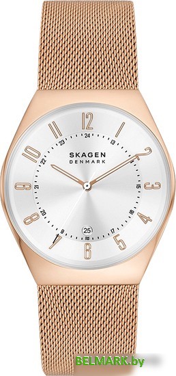 Наручные часы Skagen Grenen SKW6818 - фото