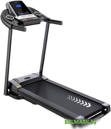 Электрическая беговая дорожка DFC Altera 7420 - фото