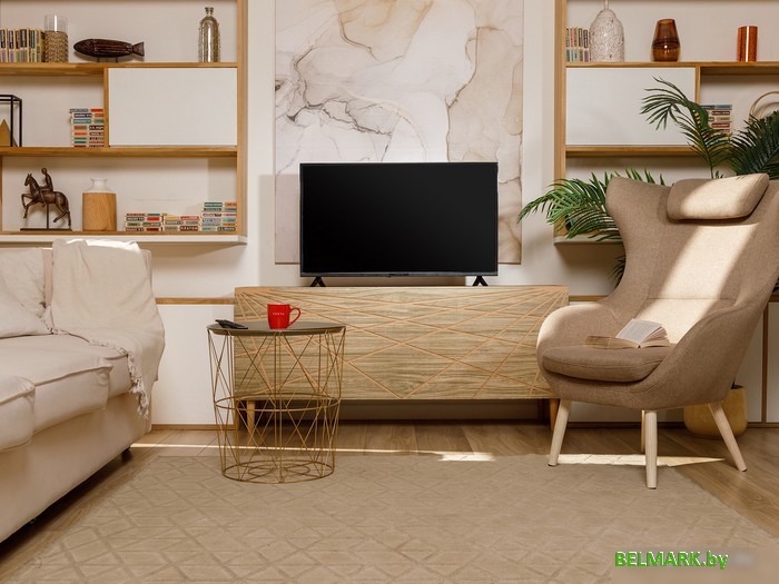 Телевизор Vekta LD-40SF4113BT - фото2