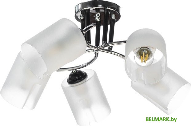 Припотолочная люстра Aitin Pro НПБ 02-5x60-101 K2180/5 (черный/хром) - фото