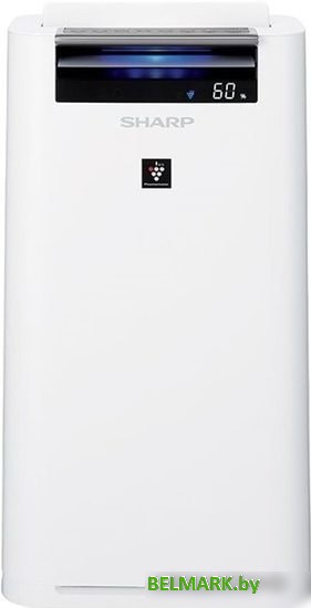 Очиститель и увлажнитель воздуха Sharp KC-G61RW - фото