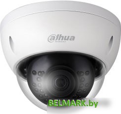 IP-камера Dahua DH-IPC-HDBW1230EP-0360B-S5 - фото