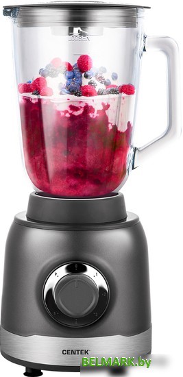 Стационарный блендер CENTEK CT-1326 - фото