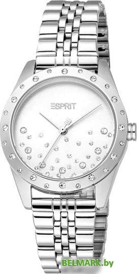 Наручные часы Esprit ES1L405M0015 - фото