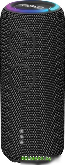 Беспроводная колонка Aiwa PAS-H200 (черный) - фото