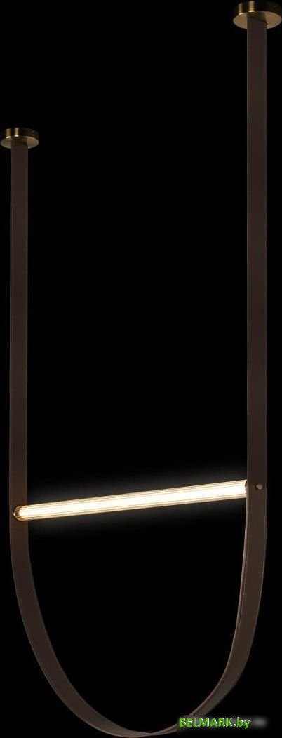 Подвесная люстра LOFT IT Liana 10221/2050 - фото2