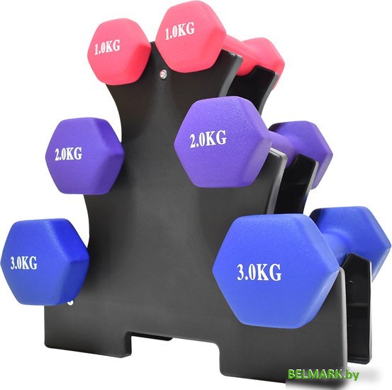 Гантельный ряд Atlas Sport Fitnes 12 кг с подставкой (2x1кг+2x2кг+2x3кг) - фото