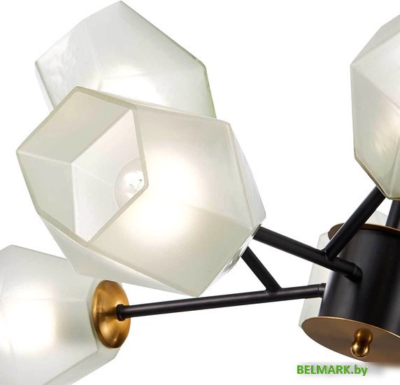 Подвесная люстра Evoluce Terramo SLE205102-08 - фото2