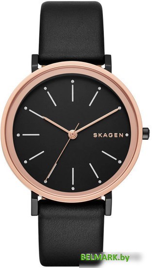 Наручные часы Skagen SKW2490 - фото