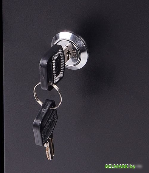 Шкаф Baumeister BTC-001 - фото2