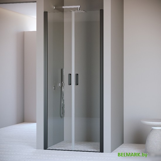 Душевая дверь RGW PA-104B 060810410-14 100 (черный/прозрачное стекло) - фото