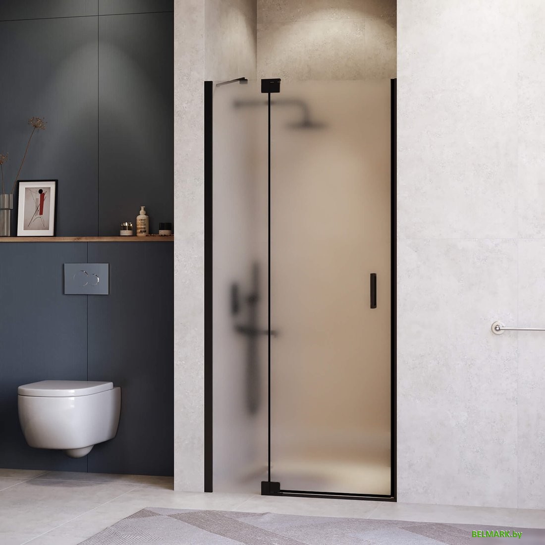 Душевая дверь RGW HO-014B 350601410-24 - фото2