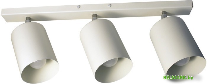 Спот Элетех НПБ 01-3х60-513 1005404515 (белый матовый) - фото