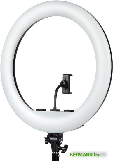 Кольцевая лампа Falcon Eyes BeautyLight 480RC LED - фото