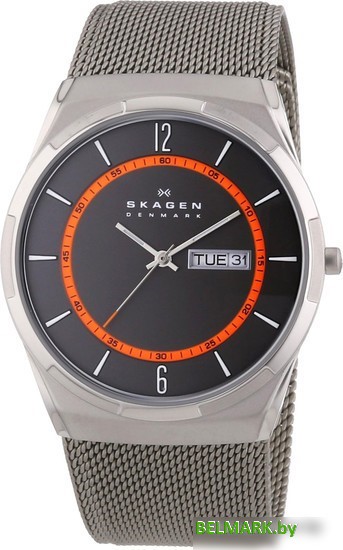 Наручные часы Skagen SKW6007 - фото2