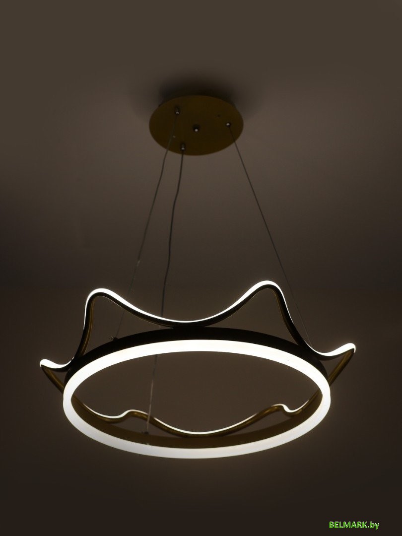 Подвесная люстра Camelion LCL-1031 14639 - фото2