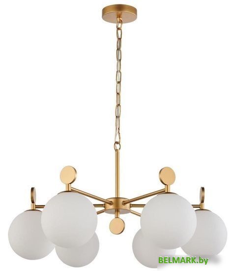 Подвесная люстра Favourite Absolute 2928-6P - фото