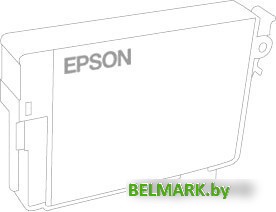 Картридж Epson C13T49N100 - фото