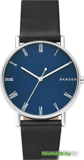 Наручные часы Skagen SKW6434 - фото