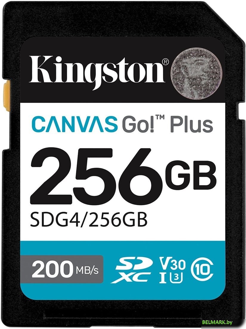 Карта памяти Kingston Canvas Go! Plus SDXC 256GB SDG4/256GB - фото