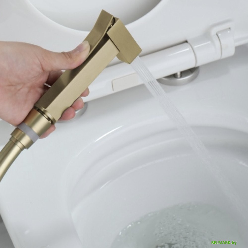 Гигиенический душ Ganzer GZ01157-S - фото2