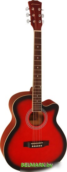 Акустическая гитара Elitaro E4020 RDS - фото