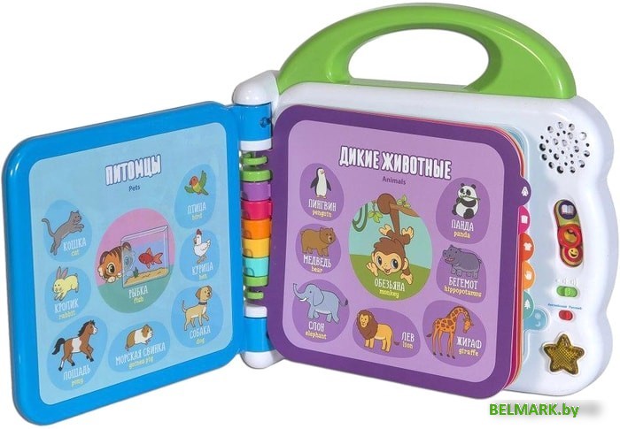 Интерактивная игрушка VTech Мой первый англо-русский словарик 100 слов 80-601526 - фото2