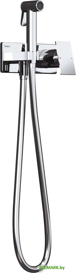 Гигиенический душ Teska Alax Tera T5336 - фото