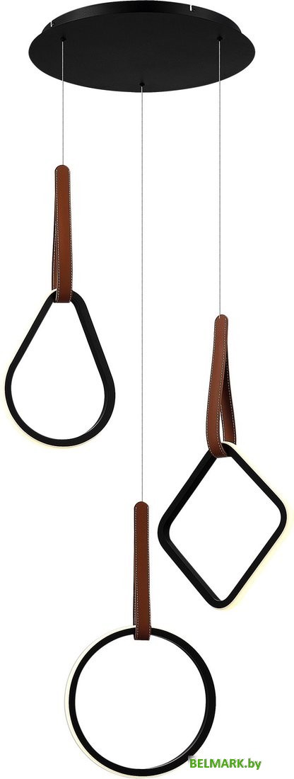 Подвесная люстра ST Luce SL6131.403.36 - фото